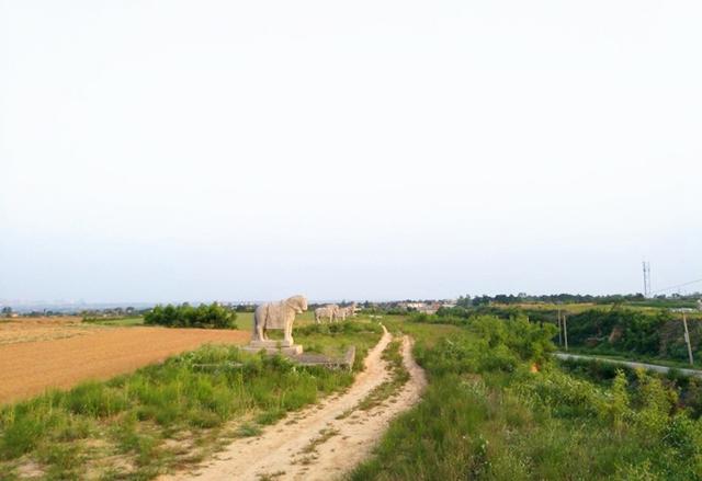 蒲城唐五陵—景陵(组图)