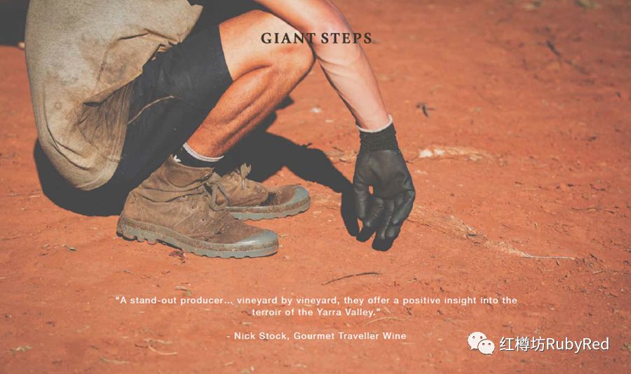 澳洲黑皮诺 | giant steps · james halliday超高分评价