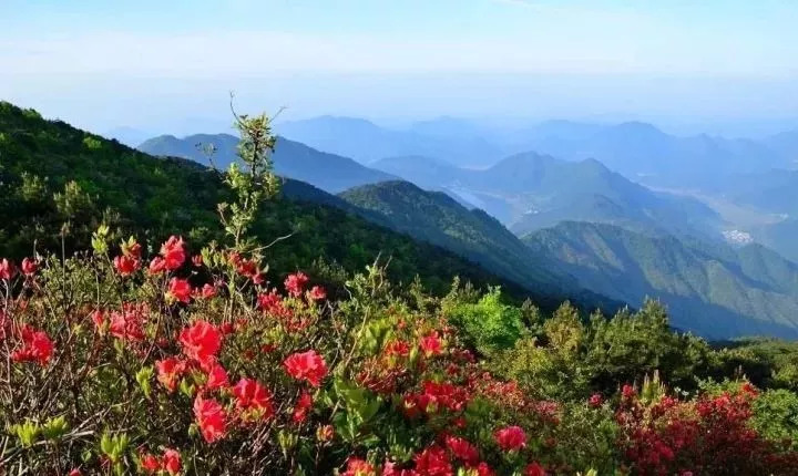 叫 五龙山