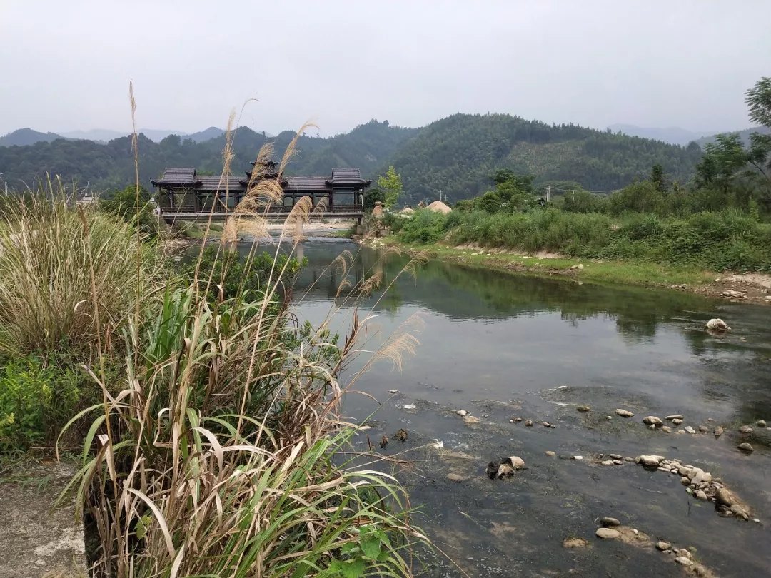 据陪同的咸水镇干部毛江海说,蕉川一带,经化验土壤富硒,生产大米被誉