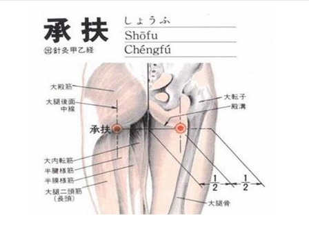 按摩承扶穴:承扶穴位于臀部横纹线的中央下方.