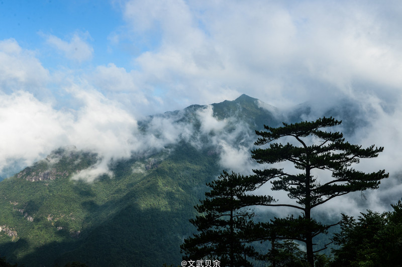 酷暑难当,那是因为你没来丽水龙泉山