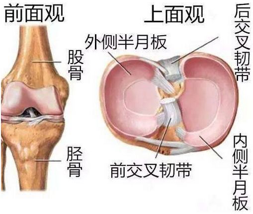 膝盖摔伤肿了怎么办