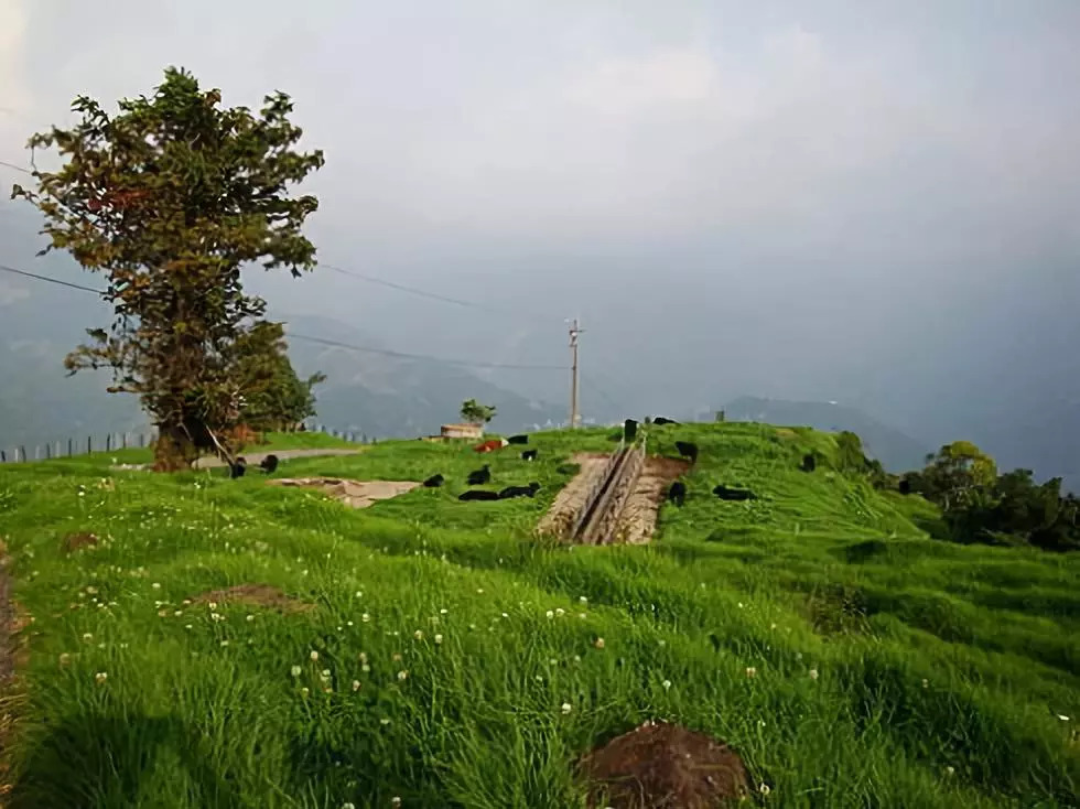 乡村旅游规划设计丨农场离好好赚钱之间就差一个走心的规划设计台湾