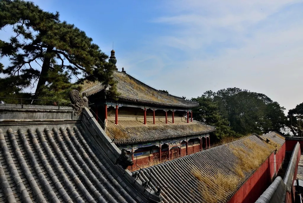 【年票攻略】戒台寺