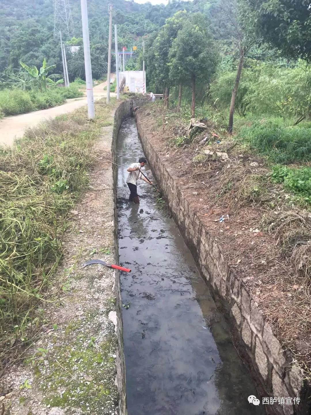 寨片区农田水利灌溉排水管道建设继续进行;青山村对水利沟渠进行清淤