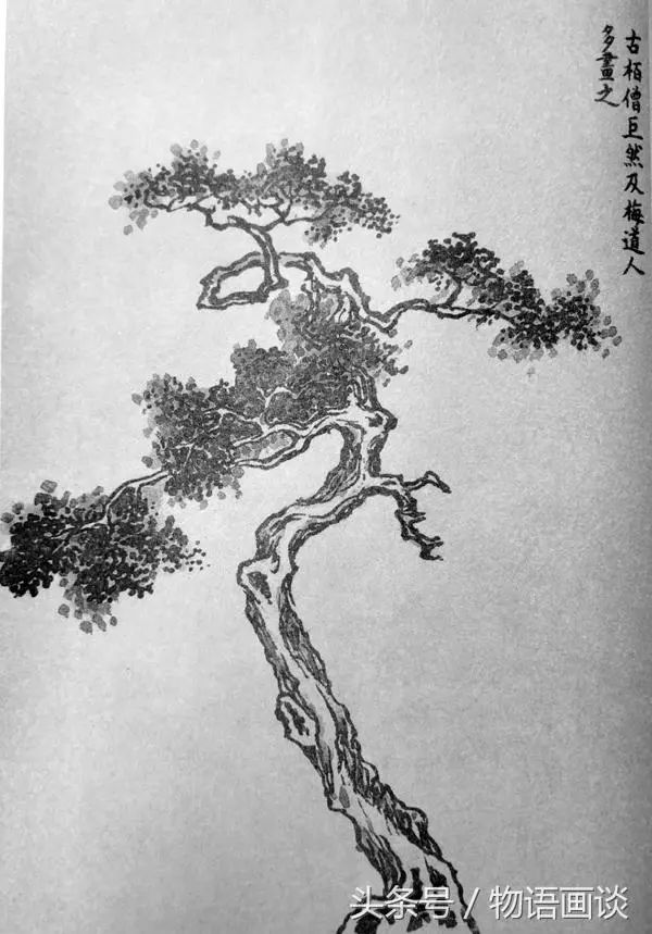 学画山水画,首先要学会画树,学画树先学画枯树