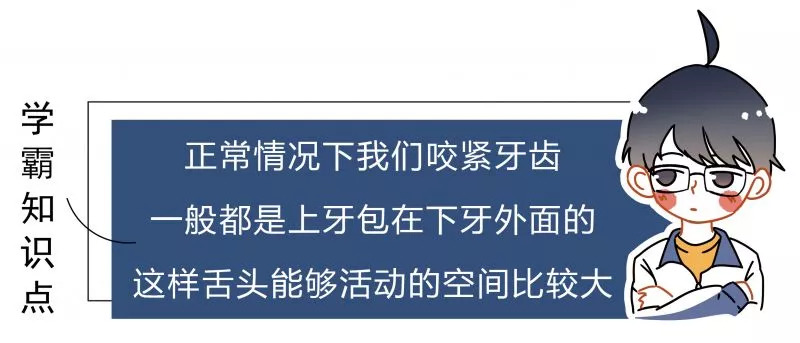 人口腔上牙重要还是下牙重要_重要通知图片