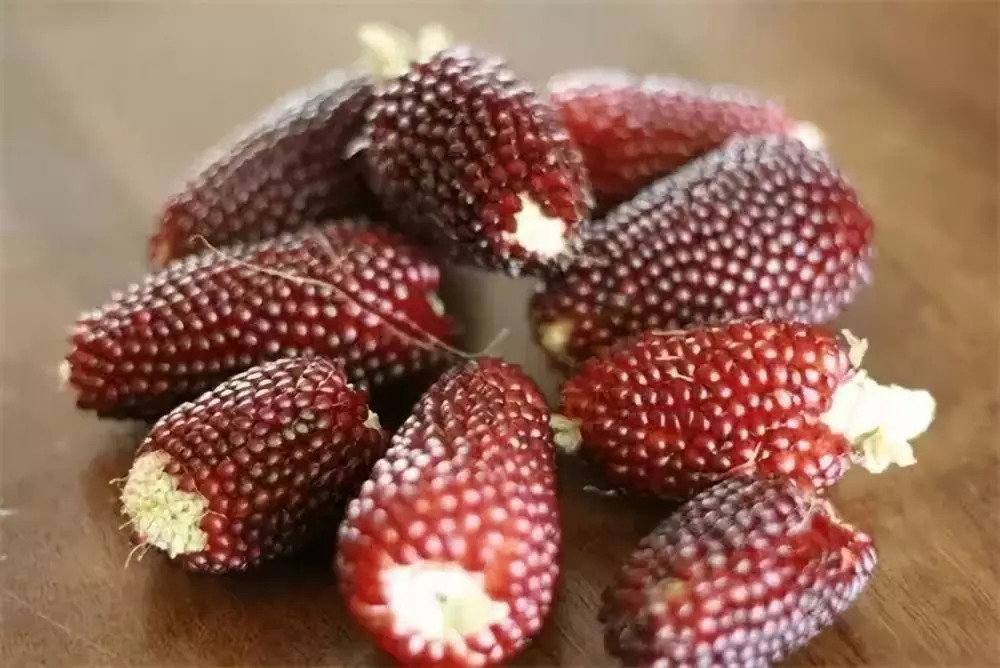 草莓玉米