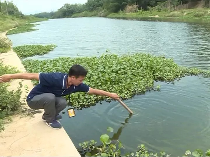 汤光村人口