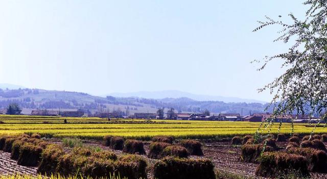 松江人口最密集的区域_中山人口密集区域