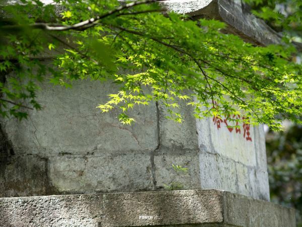 济公出家的寺院,寺后高山可看到西湖的星空