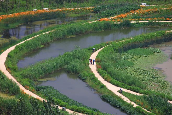 城市河道综合治理及生态修复