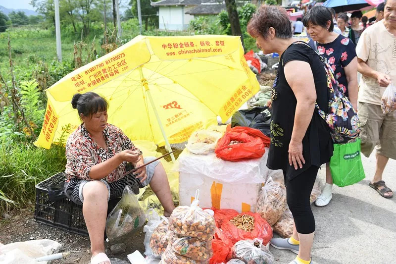 九坝镇多少人口_北流隆盛镇有多少人口