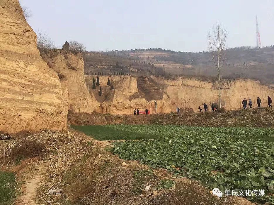 成就单氏辉煌:走进青铜器之乡考察调研单氏家族历史文化