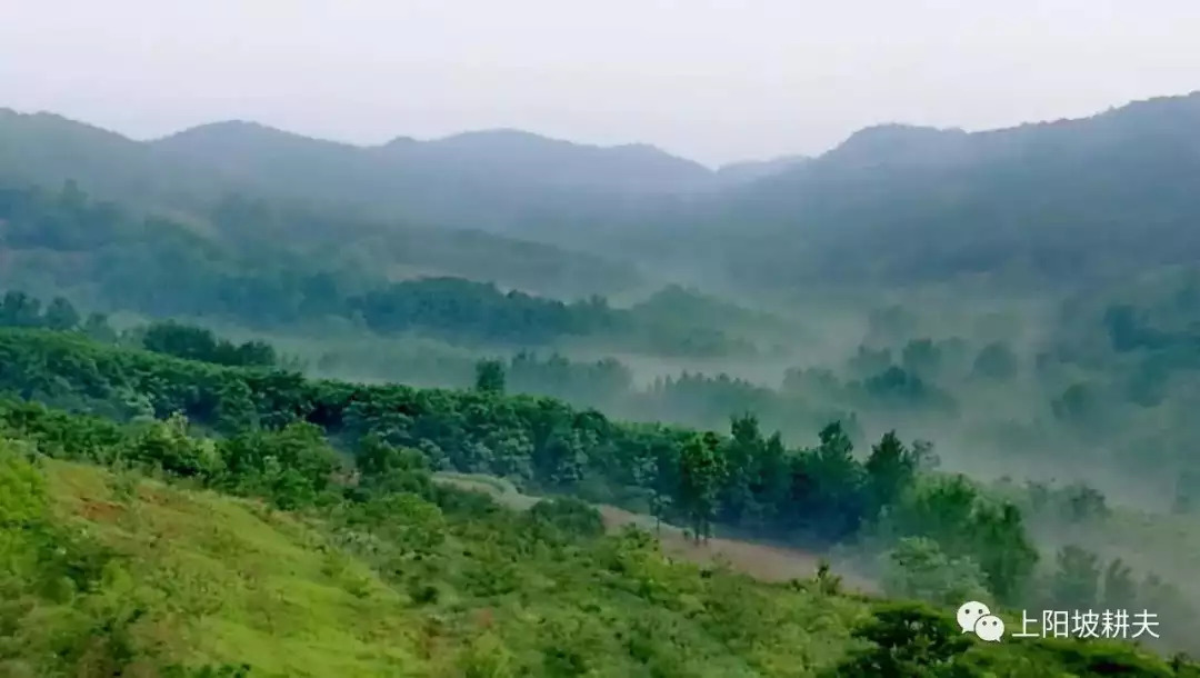 水头镇有多少人口_水头这个路口车流量 人流量较大,但却未设红绿灯...(3)