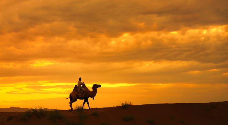 我想和你去看大漠与落日,相逢潇洒与自由