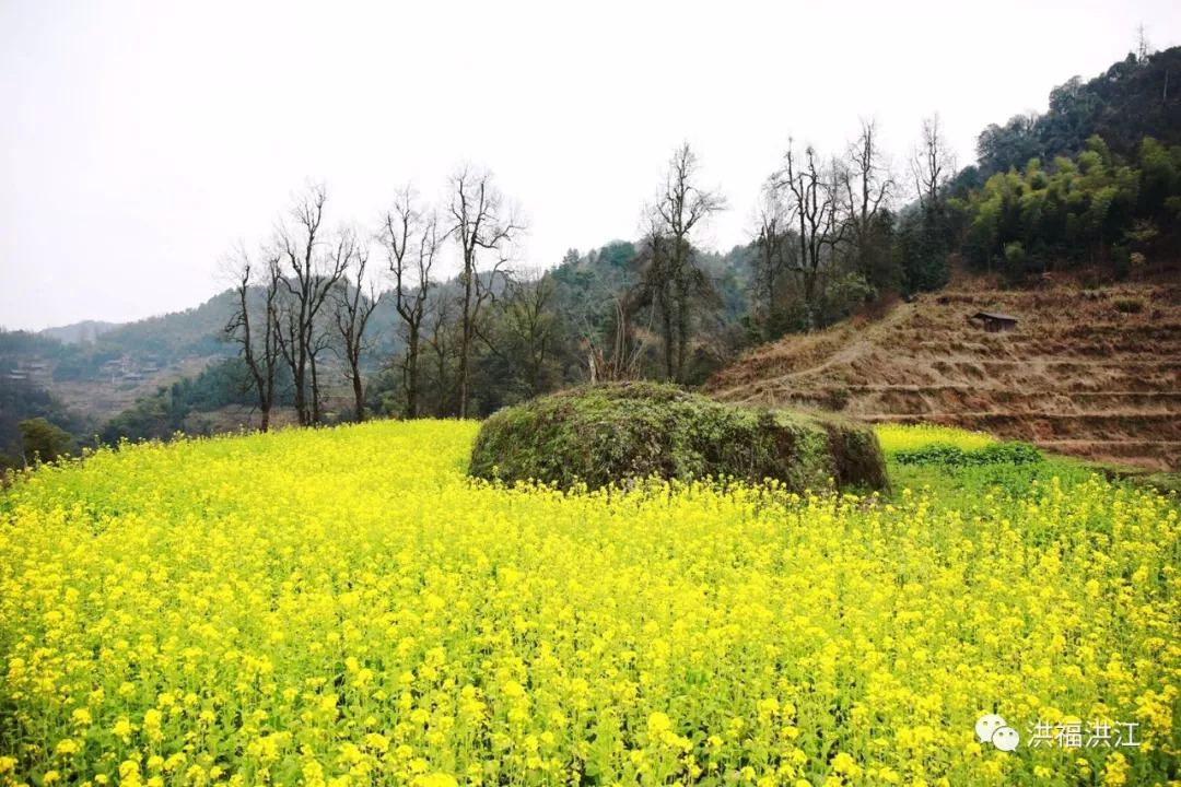 【扶贫】横岩乡菖蒲村:旅游 扶贫 山村变美景