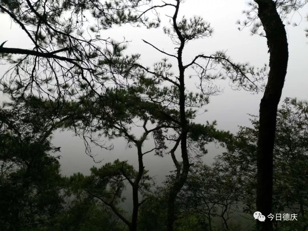 有意思德庆一对父子凌晨登上香山顶看到县城和天空竟是这般景象