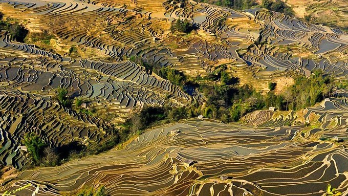 云南著名的摄影景点之元阳哈尼族梯田摄影旅游攻略