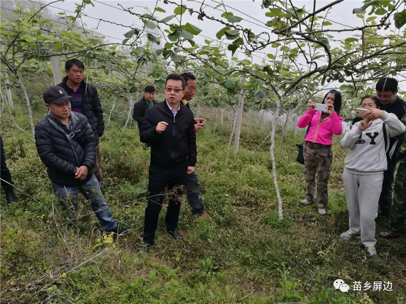 屏边多少人口_屏边大围山图片