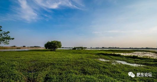 哇塞肥东管湾国家湿地公园建设正式启动啦涉及3个乡镇