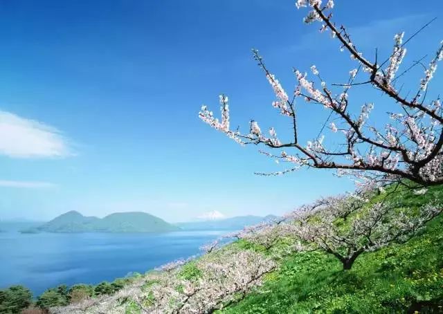 旅游 正文  北海道是仅次于本州的第二大岛,是日本著名的泡汤胜地