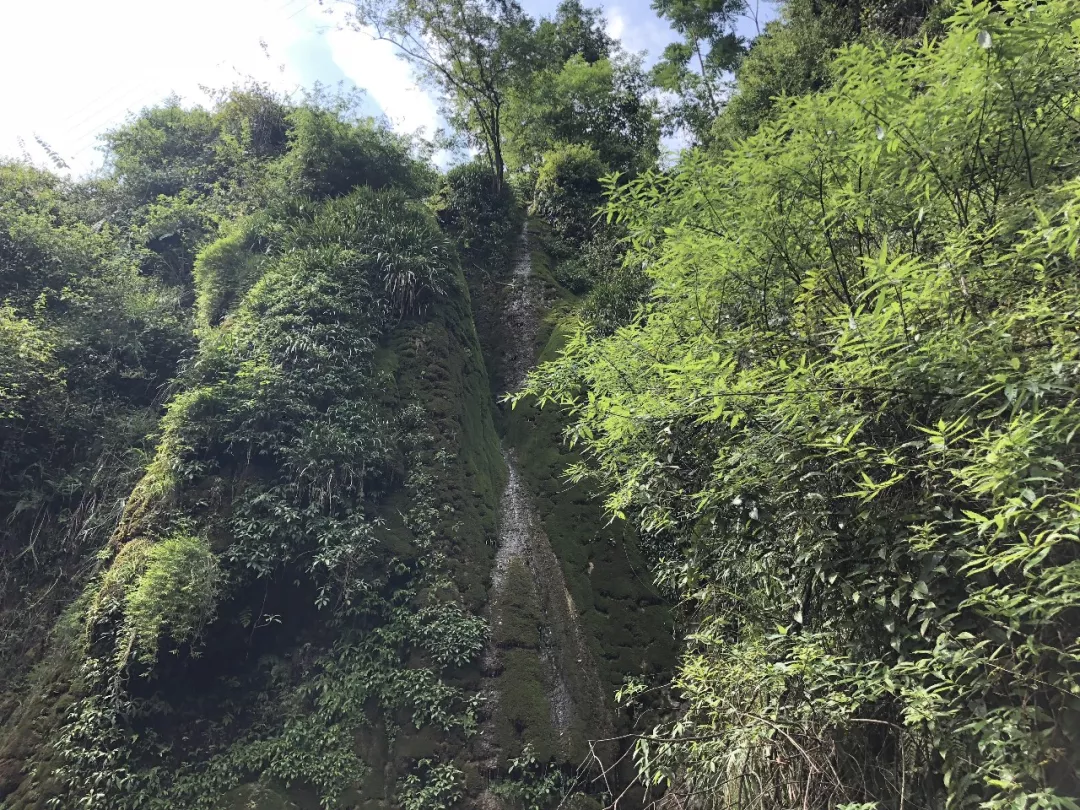 溶洞,瀑布,农家乐,楠木村里美景多