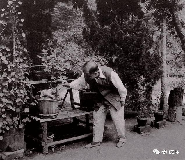 張學良在台灣幽禁圖片：大山深處種菜取樂，趙四小姐陪到老 歷史 第8張