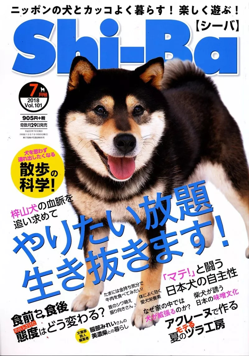 寵物 雜誌