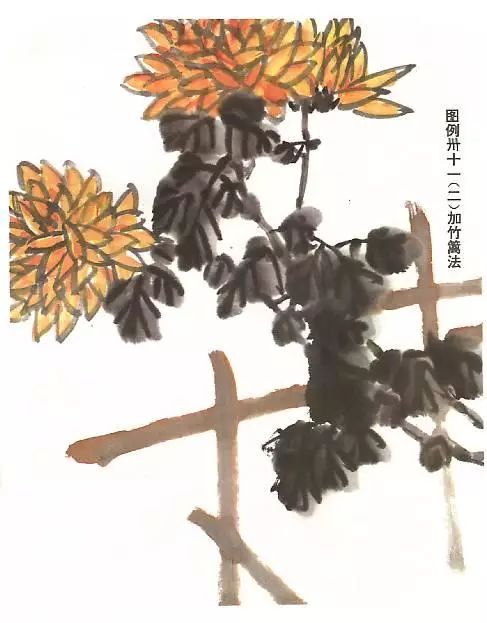 秋来学画菊