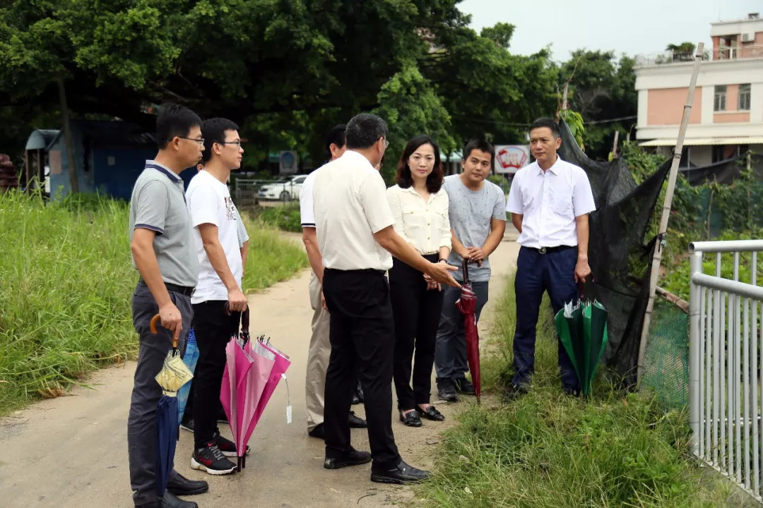 黄丽凤督导井都镇时提出要举旗帜,聚民心,展形象