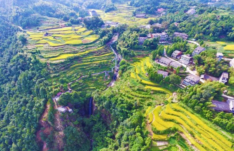 珊溪镇塘山村