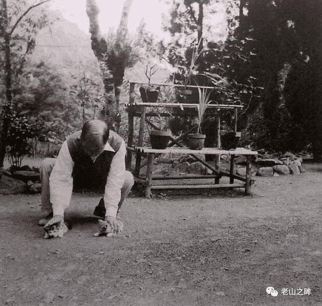 張學良在台灣幽禁圖片：大山深處種菜取樂，趙四小姐陪到老 歷史 第7張