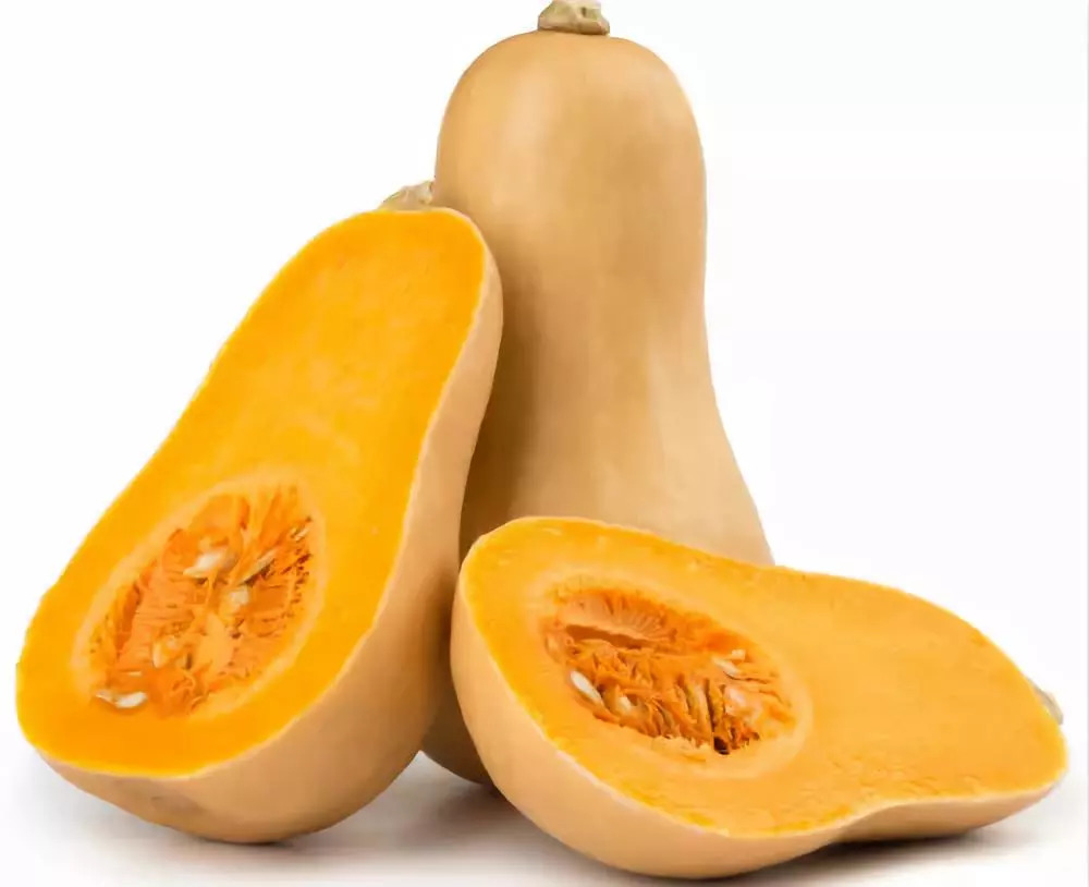 笋瓜丶胡桃南瓜丶东南瓜——butternut squash