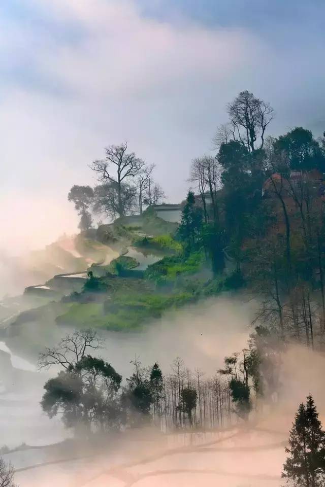 守心中的风景,淡红尘的浮华