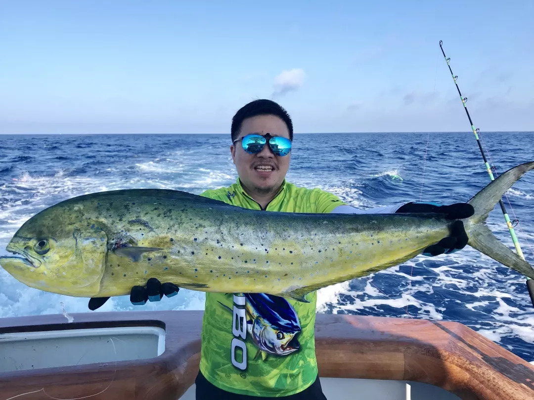 游钓大西洋邂逅鬼头刀体验一场完美的海钓之旅上