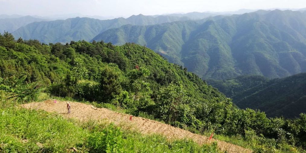 五台乡全境为高山峡谷地貌,具有旅游开发资源