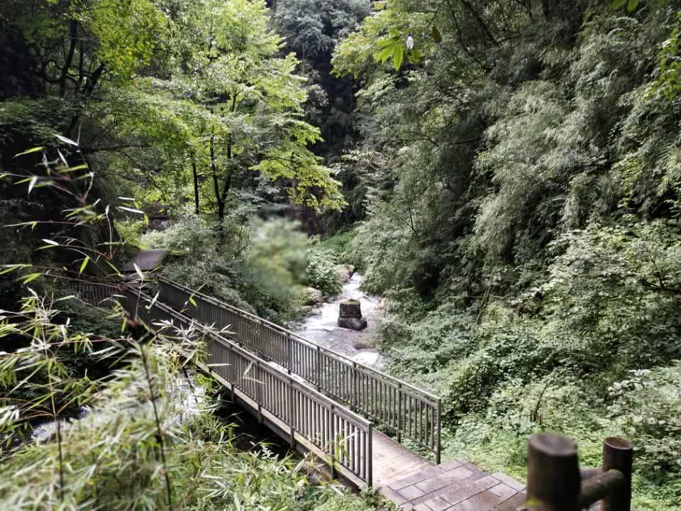 成都周末避暑去这里巴适得板,乘凉爬山耍水老少皆宜