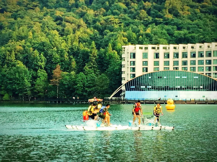 【崇义旅游】凉风有信,再续你与阳明山的未了之约