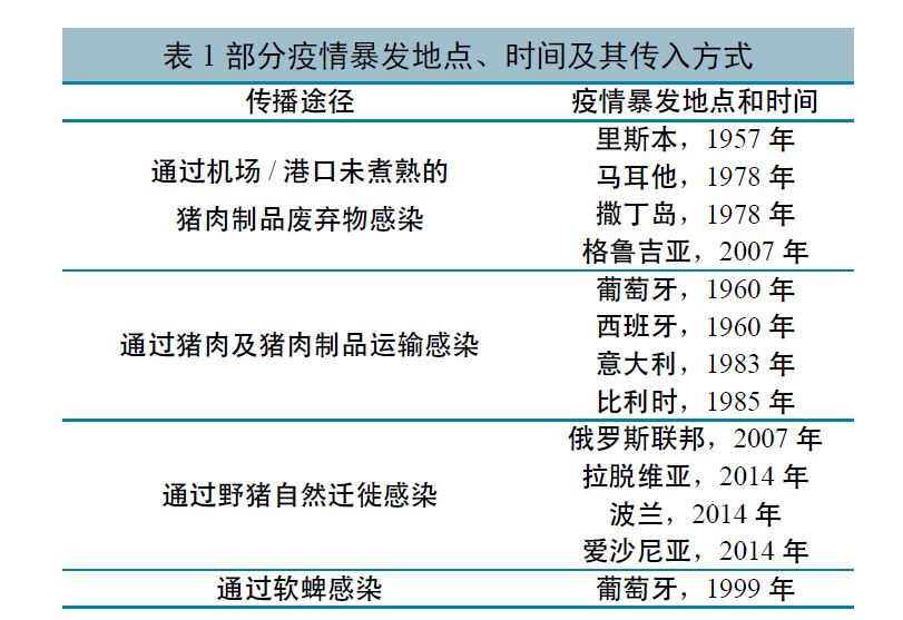 非洲猪瘟的传入我们该如何守护养殖安全