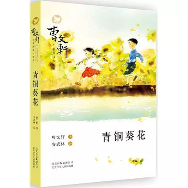 《青铜葵花》读后感