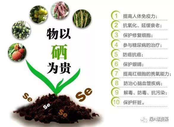 而一般食物在富硒过程中难以承受无机硒的"硒毒",导致富硒含量不高