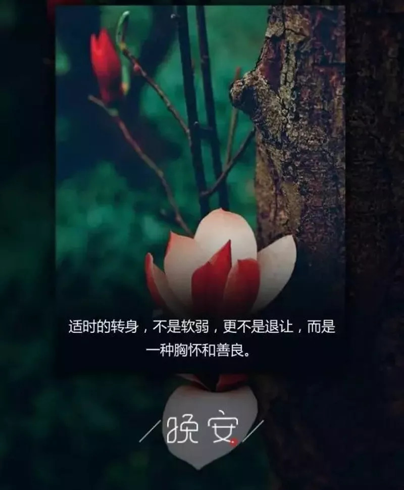 晚安说正能量的句子心情说说