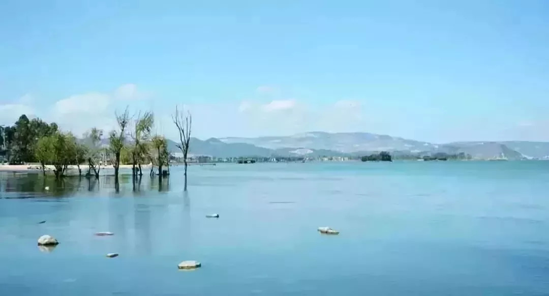 异域风情 除了浪漫的沙滩 还有湿地公园大片大片的植物 晋宁古滇王国