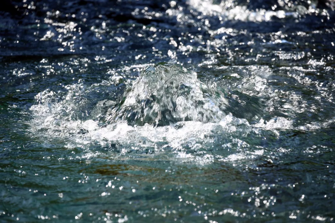 趵突泉公园的水位已经达到28.77米,再现昔日趵