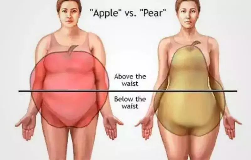 苹果型身材大部分的脂肪都累积在了臀部以上的中间部分,肚子和胸要比