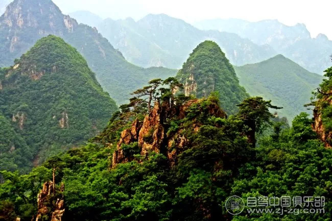 【中秋节船游苇海赏芦苇飞雪-大连天门山赏秋 原始红海滩奇观—泡五星