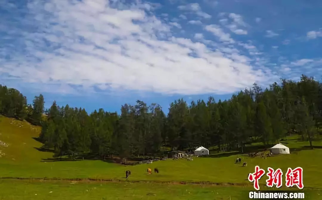 新疆哈巴河县初秋草原风光别样美