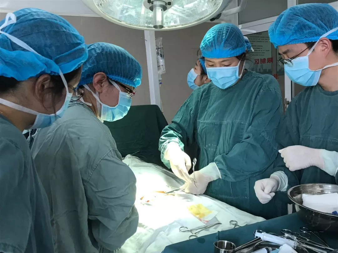不开刀也能换瓣膜！长沙市第四医院成功开展经皮主动脉瓣置换术 - 长沙 - 新湖南